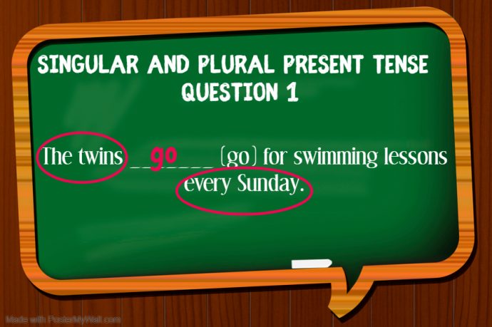 Primary 1 English Grammar Syllabus - singular and plural present tense question 1